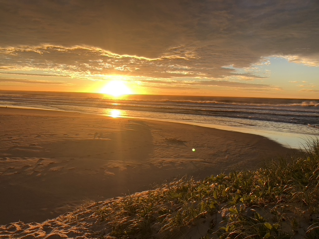 8FB8796C-E27C-442B-8604-D2DD202AA57B_1_105_c